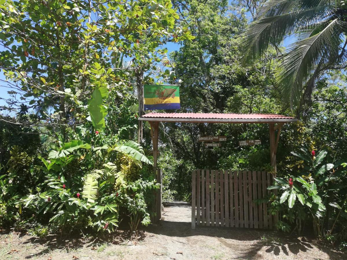 La Tarima Del Colibri Ecolodge Эль-Валье Экстерьер фото