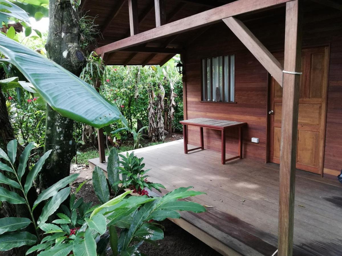 La Tarima Del Colibri Ecolodge Эль-Валье Экстерьер фото