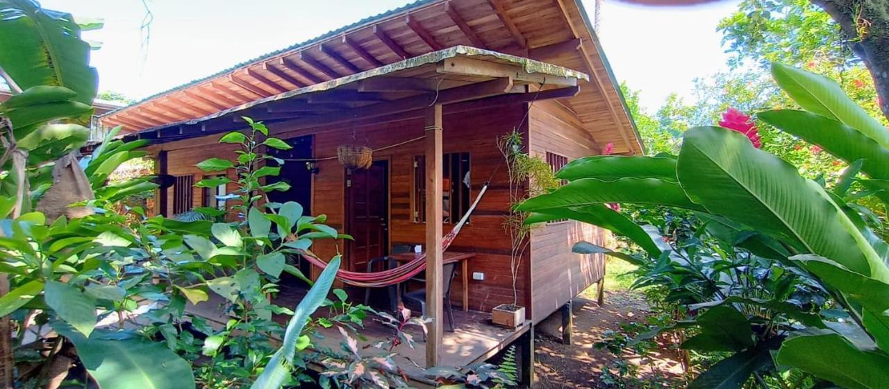 La Tarima Del Colibri Ecolodge Эль-Валье Экстерьер фото