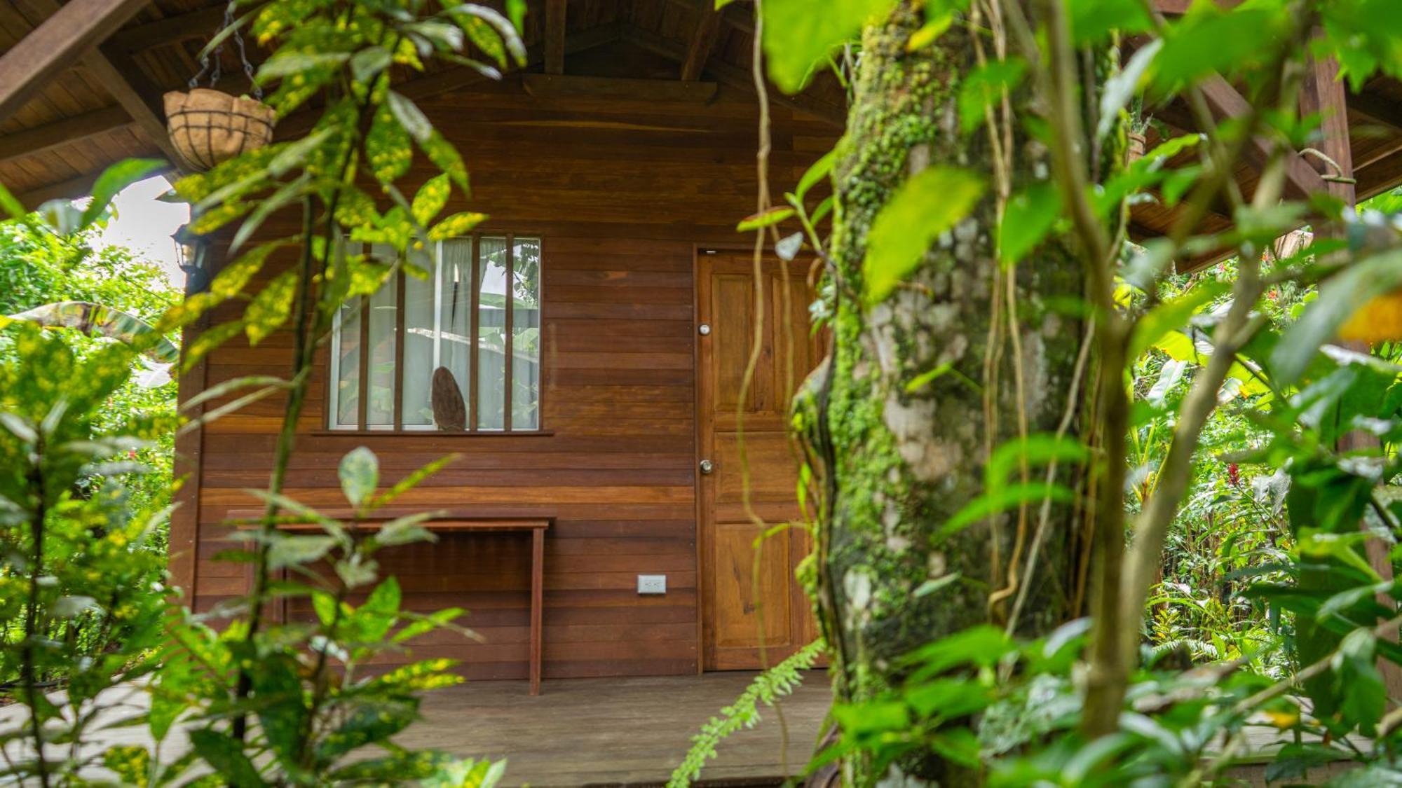 La Tarima Del Colibri Ecolodge Эль-Валье Экстерьер фото
