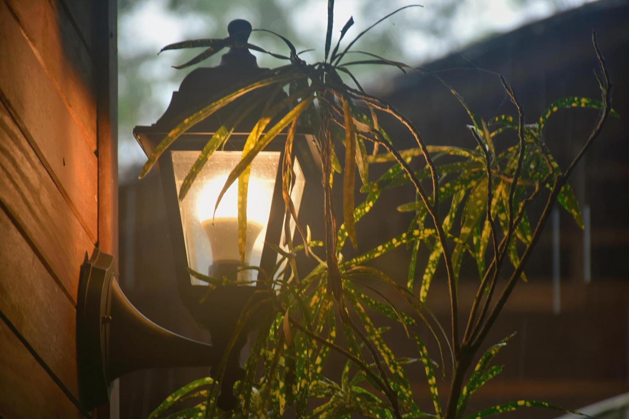 La Tarima Del Colibri Ecolodge Эль-Валье Экстерьер фото