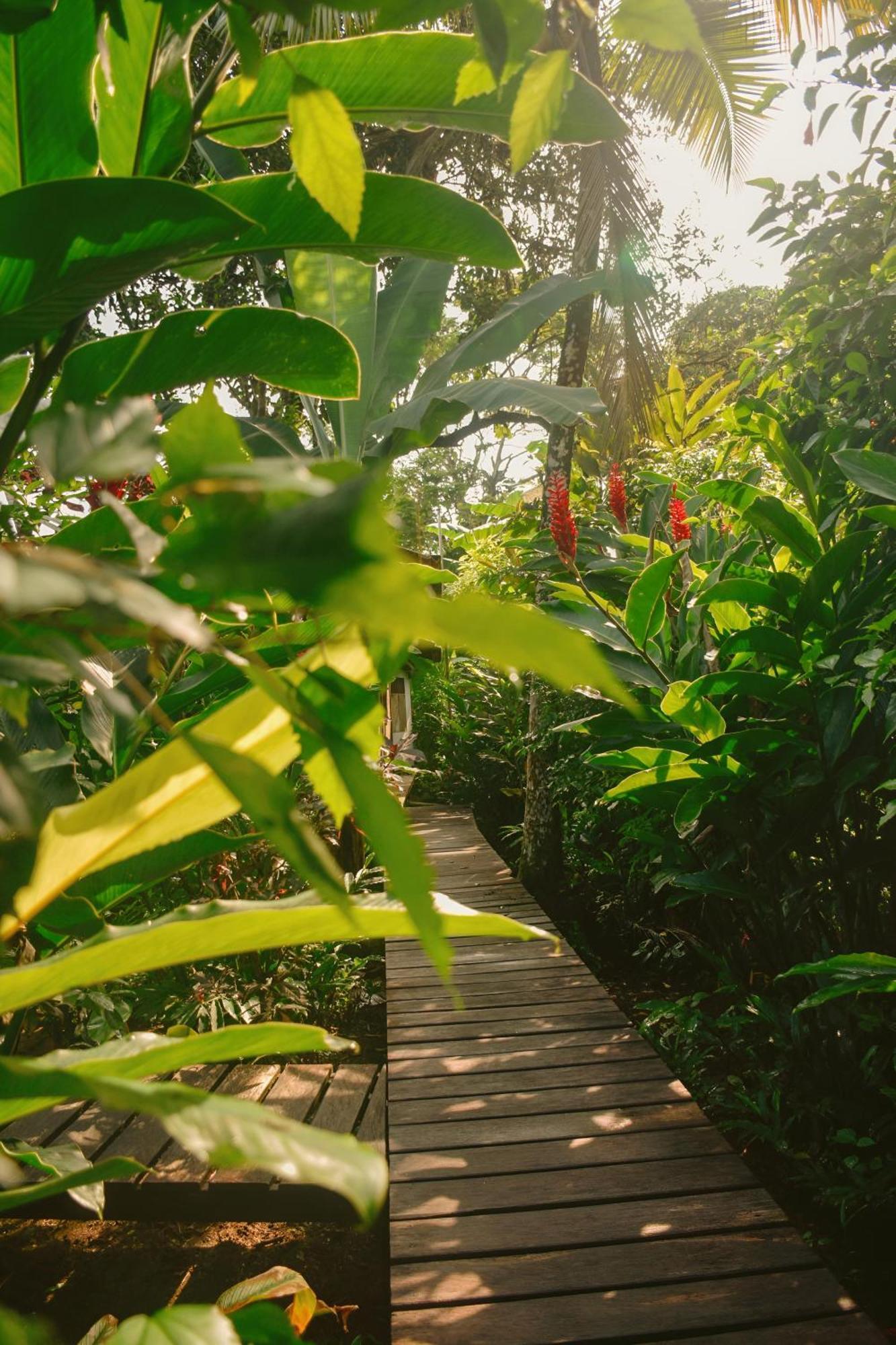 La Tarima Del Colibri Ecolodge Эль-Валье Экстерьер фото