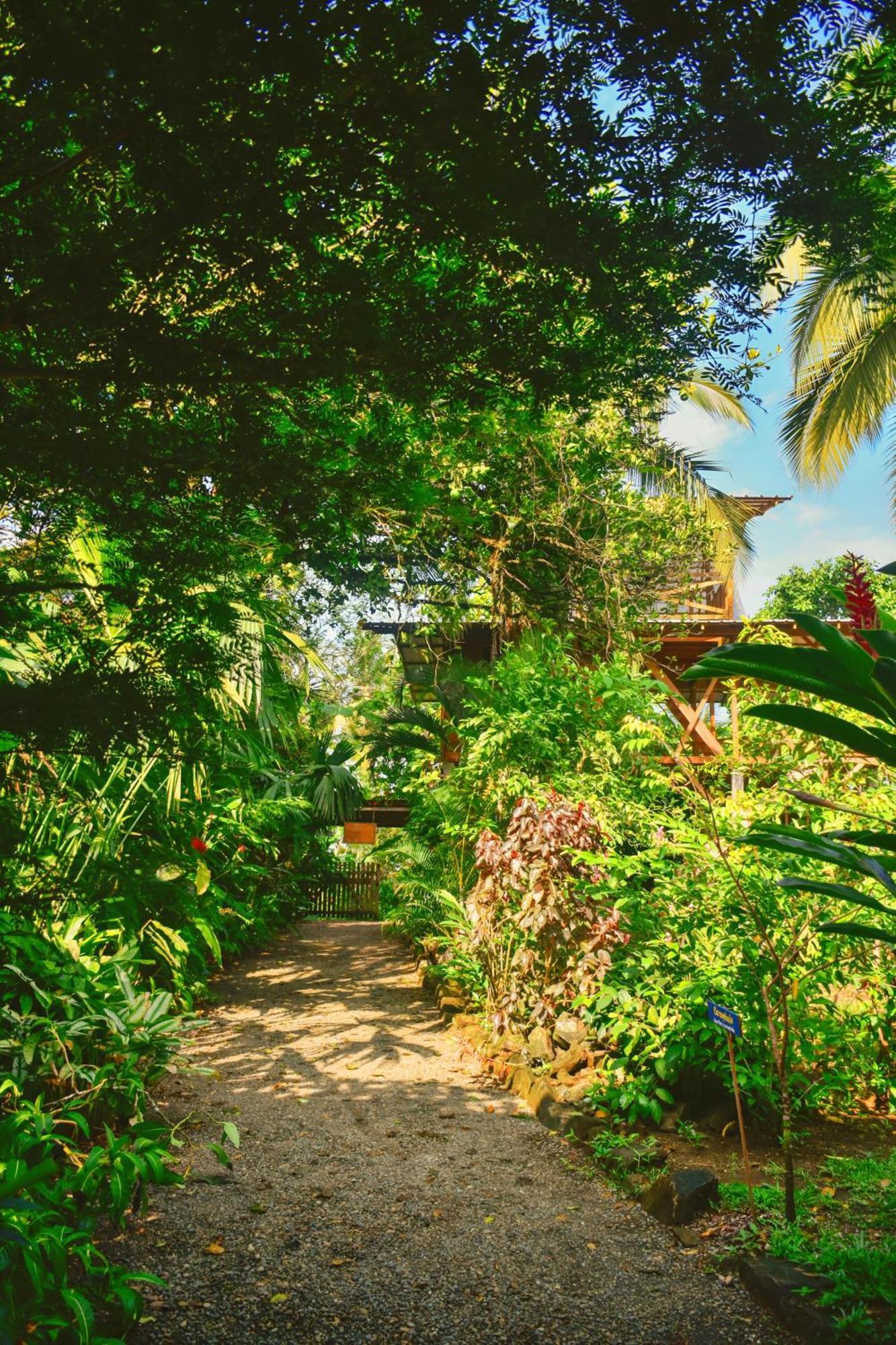 La Tarima Del Colibri Ecolodge Эль-Валье Экстерьер фото