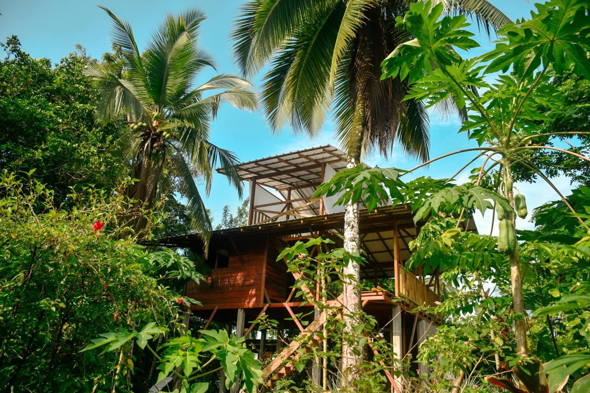 La Tarima Del Colibri Ecolodge Эль-Валье Экстерьер фото
